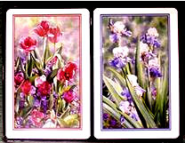 plastic bridge game playing cards