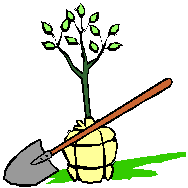 tree and shovel